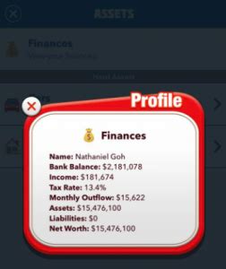 Why is My Monthly Outflow So High in BitLife .